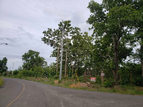 Vendo finca de 11,3 Hectáreas. Titulada, Santa Maria Via La Pintada.