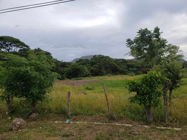 Vendo finca de 11,3 Hectáreas. Titulada, Santa Maria Via La Pintada.