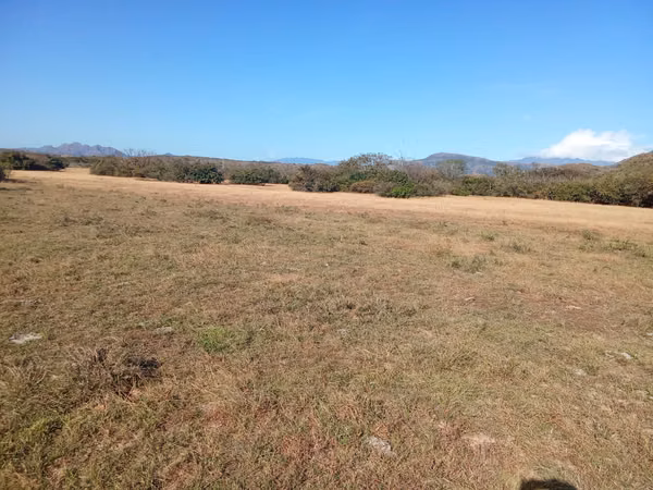 Venta de Finca en Coclé, El Olivo, El Caño, 100 hectáreas