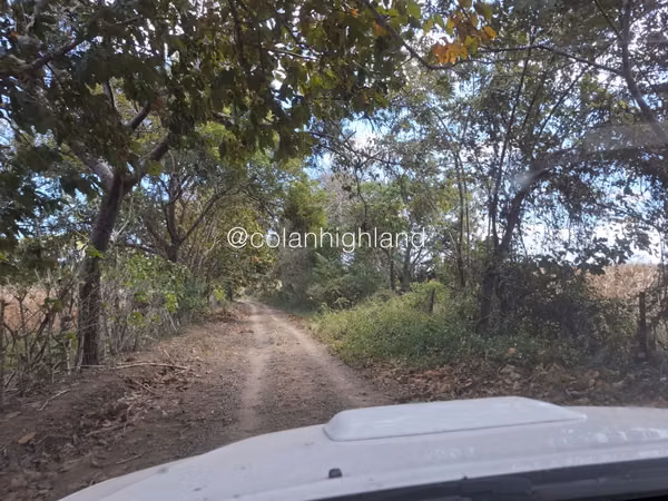 For Sale Land in Las Tablas