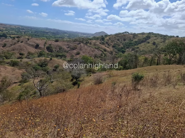 For Sale Land in Las Tablas