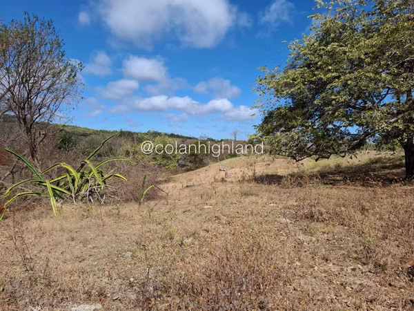 For Sale Land in Las Tablas