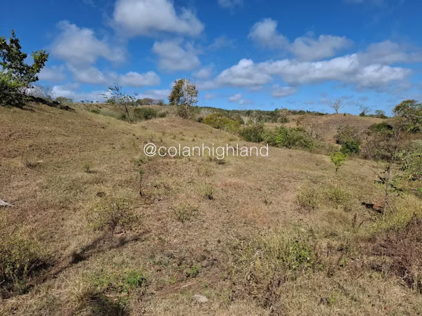 For Sale Land in Las Tablas