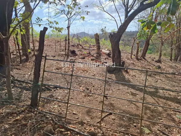 For Sale Land in Las Tablas