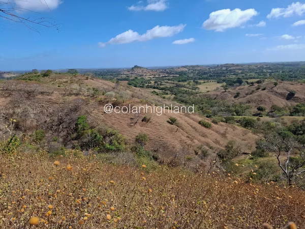 For Sale Land in Las Tablas