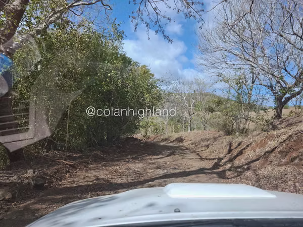 For Sale Land in Las Tablas