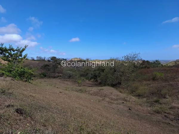 For Sale Land in Las Tablas