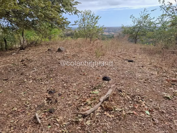 For Sale Land in Las Tablas