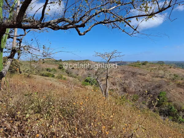 For Sale Land in Las Tablas