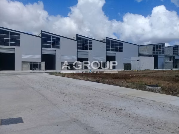 Milla 8 - Vía Transístmica  -  Venta o Alquiler de Ofibodega