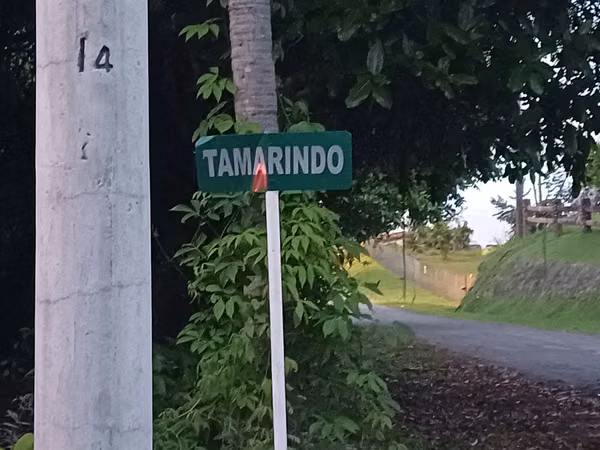 Se vende EN REMATE terreno en San Carlos