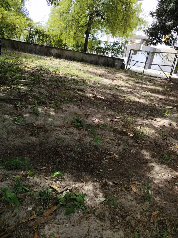 PLAYA FARALLON LOTE 704 M2 ALQUILO $650 mes O VENDO $200k