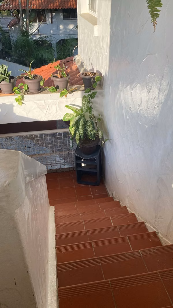 Melissa Foster Luxury Rental Apartment in Albrook MFR2080
