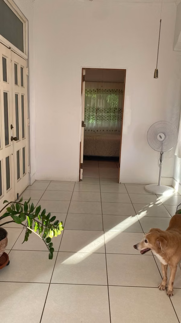 Melissa Foster Luxury Rental Apartment in Albrook MFR2080