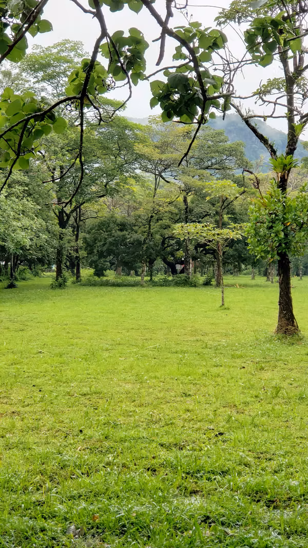 VENDO LOTE PLANO DE 9,000Mts EN EL VALLE