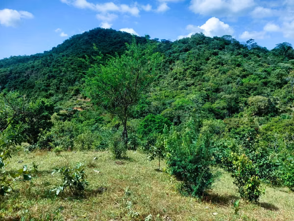 VENDO HERMOSA FINCA EN CALOBRE DE 55 HECTÁREAS EN CALOBRE