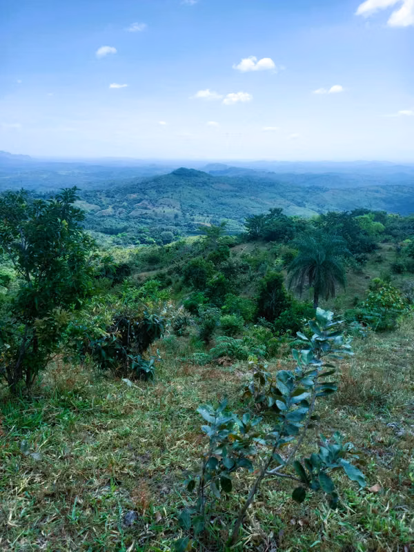 VENDO HERMOSA FINCA EN CALOBRE DE 55 HECTÁREAS EN CALOBRE