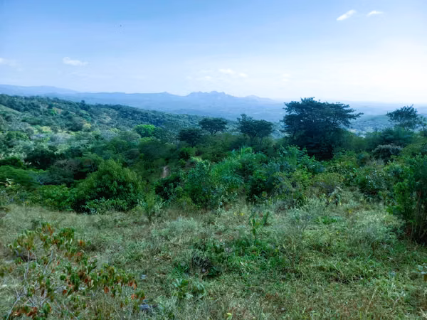 VENDO HERMOSA FINCA EN CALOBRE DE 55 HECTÁREAS EN CALOBRE