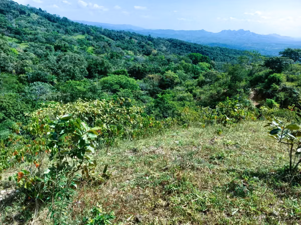 VENDO HERMOSA FINCA EN CALOBRE DE 55 HECTÁREAS EN CALOBRE