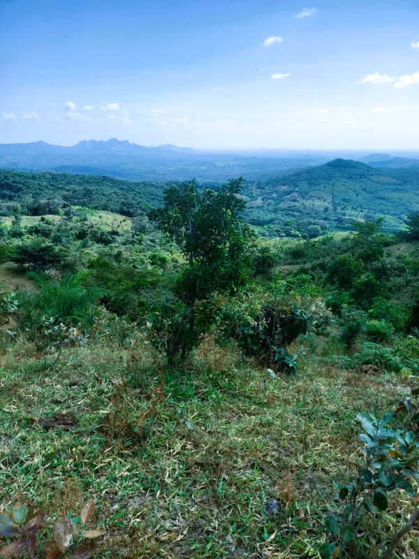 VENDO HERMOSA FINCA EN CALOBRE DE 55 HECTÁREAS EN CALOBRE