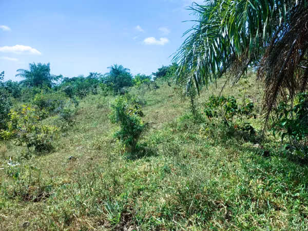 VENDO HERMOSA FINCA EN CALOBRE DE 55 HECTÁREAS EN CALOBRE