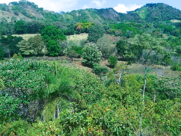 VENDO HERMOSA FINCA EN CALOBRE DE 55 HECTÁREAS EN CALOBRE