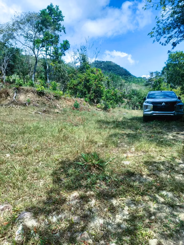 VENDO HERMOSA FINCA EN CALOBRE DE 55 HECTÁREAS EN CALOBRE