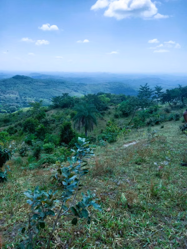 VENDO HERMOSA FINCA EN CALOBRE DE 55 HECTÁREAS EN CALOBRE