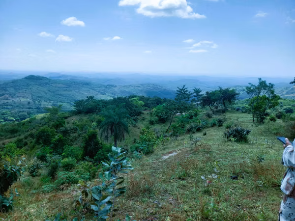 VENDO HERMOSA FINCA EN CALOBRE DE 55 HECTÁREAS EN CALOBRE