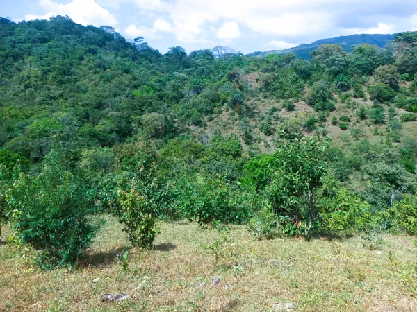 VENDO HERMOSA FINCA EN CALOBRE DE 55 HECTÁREAS EN CALOBRE