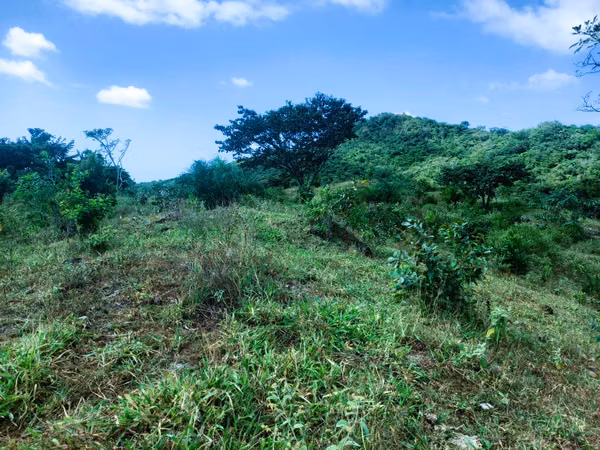 VENDO HERMOSA FINCA EN CALOBRE DE 55 HECTÁREAS EN CALOBRE