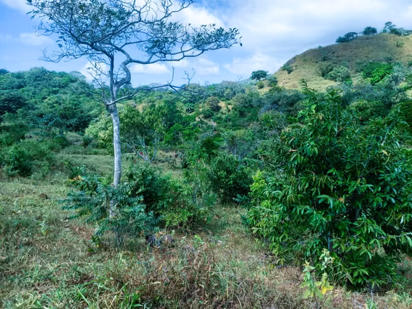 VENDO HERMOSA FINCA EN CALOBRE DE 55 HECTÁREAS EN CALOBRE