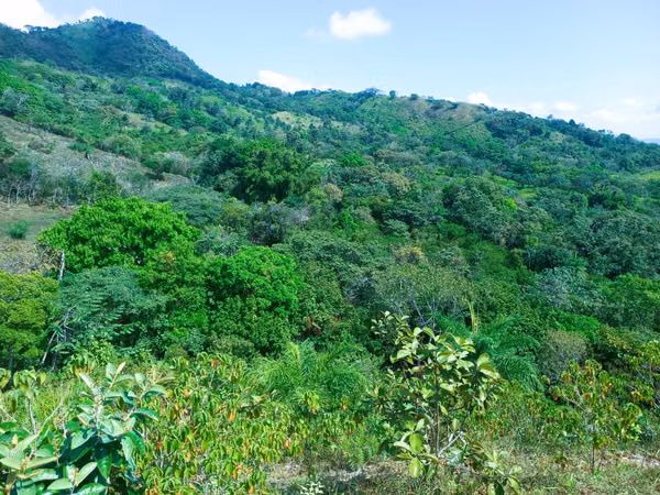 VENDO HERMOSA FINCA EN CALOBRE DE 55 HECTÁREAS EN CALOBRE
