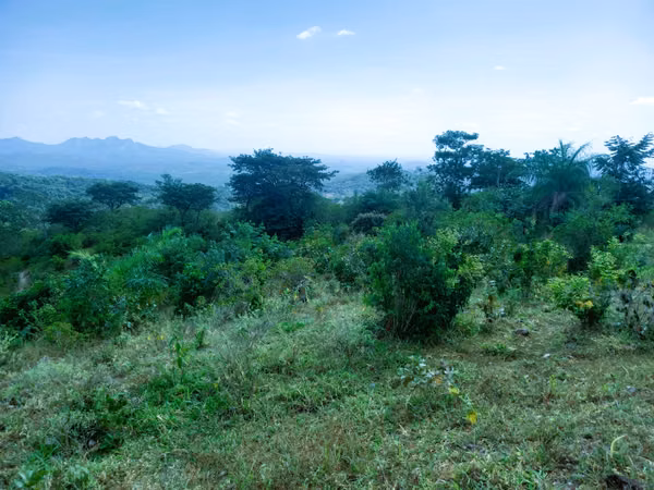VENDO HERMOSA FINCA EN CALOBRE DE 55 HECTÁREAS EN CALOBRE