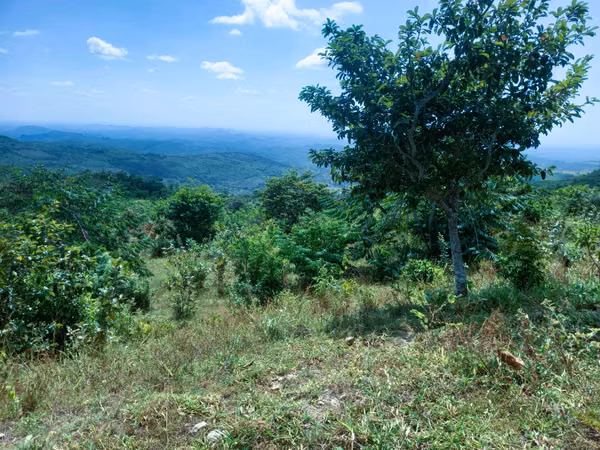 VENDO HERMOSA FINCA EN CALOBRE DE 55 HECTÁREAS EN CALOBRE