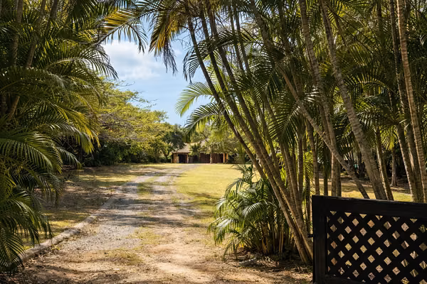 Nearly 1 hectare in Coronado with house and pool | 9,870 m²