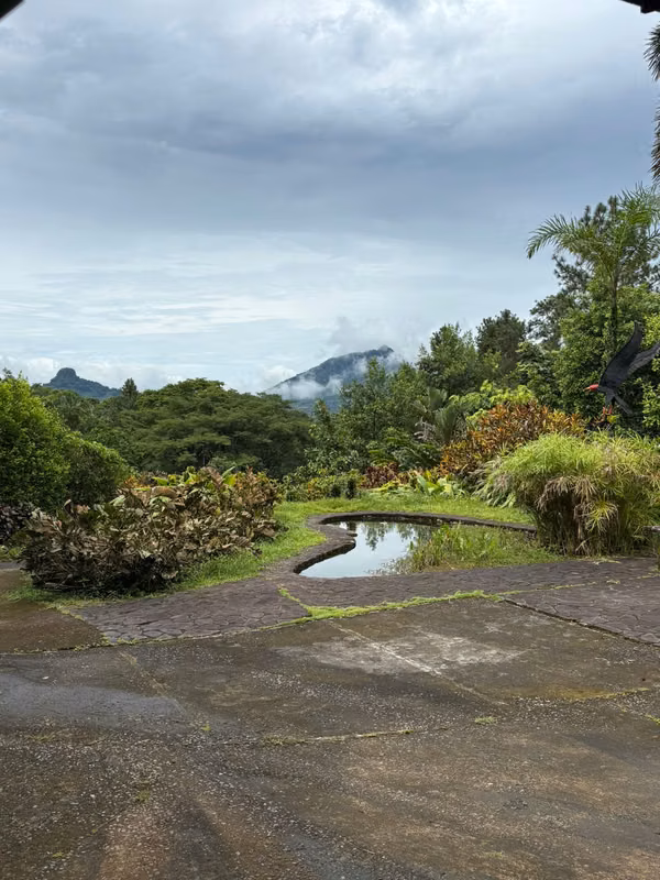FINCA “PICO PIXBAE” EN VENTA – PENONOMÉ, COCLÉ