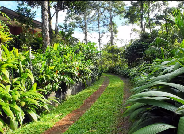 FINCA “PICO PIXBAE” EN VENTA – PENONOMÉ, COCLÉ