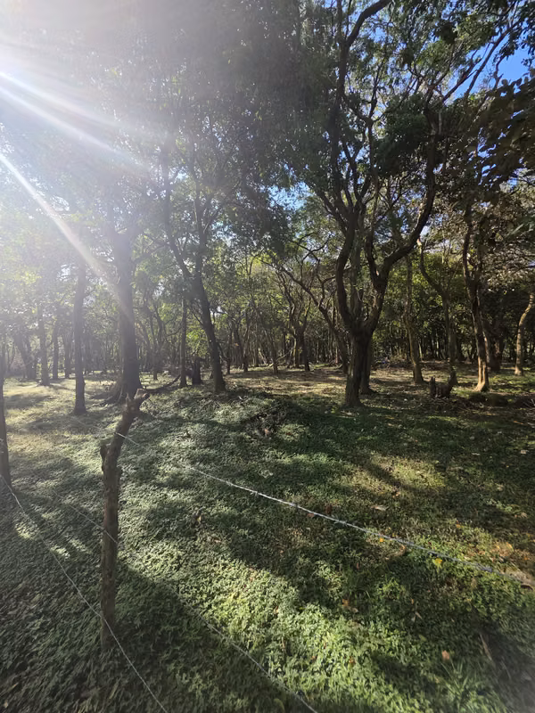 Lots for Sale in El Valle