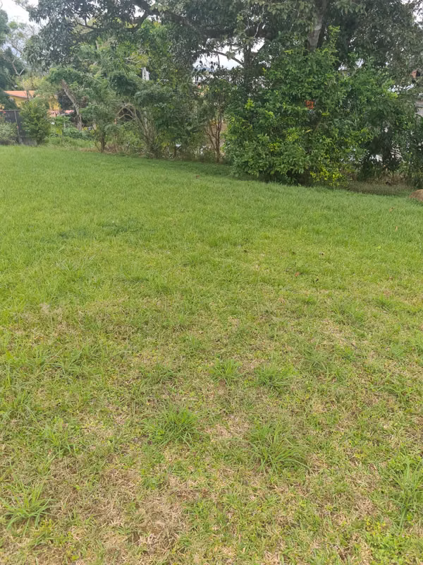 Lote para Vivienda en La Chorrera