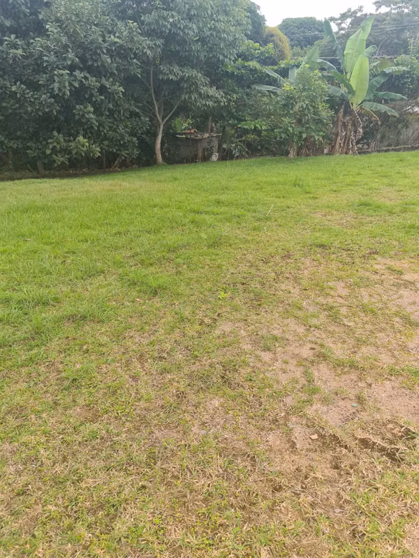Lote para Vivienda en La Chorrera