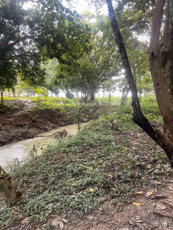 I SELL LAND IN ANTON, NEAR THE MAIN STREET 4.4 HECTATS $320,000 NEGOTIABLE