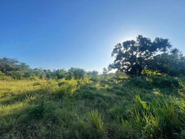 Prime Contiguous Land Offering for Sale in Río Hato, Panama