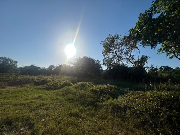 Prime Contiguous Land Offering for Sale in Río Hato, Panama