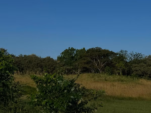 Prime Contiguous Land Offering for Sale in Río Hato, Panama