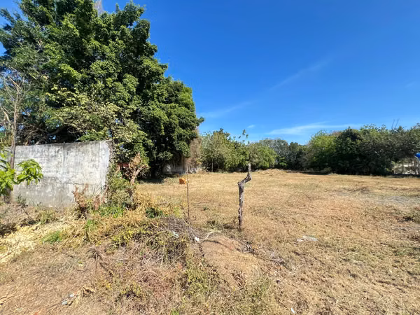 Land for Sale in Chitre