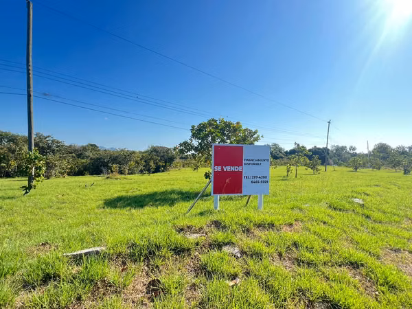 Land for Sale in La Ensenada, San Carlos