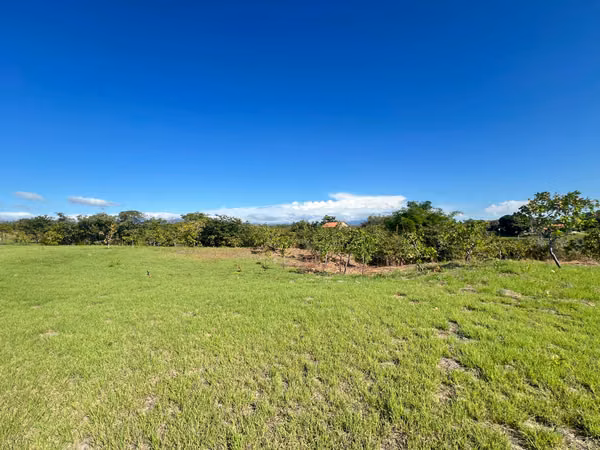 Land for Sale in La Ensenada, San Carlos