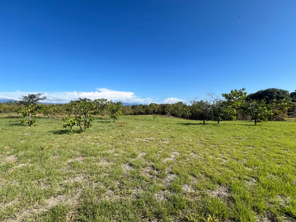 Land for Sale in La Ensenada, San Carlos