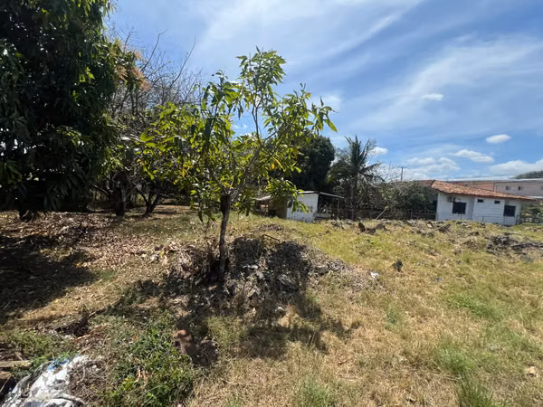 Prime Land for Sale in Las Tablas